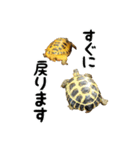ビジネスホルス（個別スタンプ：27）