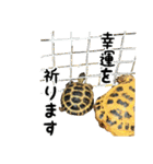 ビジネスホルス（個別スタンプ：30）