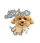 スーパーニートこてつ♀3（個別スタンプ：4）