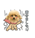 スーパーニートこてつ♀3（個別スタンプ：19）