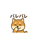 おちゃめな柴犬くんスタンプ（個別スタンプ：3）