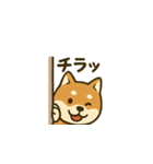 おちゃめな柴犬くんスタンプ（個別スタンプ：4）