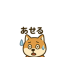 おちゃめな柴犬くんスタンプ（個別スタンプ：6）
