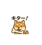 おちゃめな柴犬くんスタンプ（個別スタンプ：7）