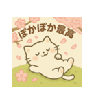 ふわねこ日和・春のさくらスタンプ（個別スタンプ：8）