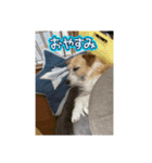 なんとなく今日一日晴れ（個別スタンプ：3）
