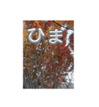 なんとなく今日一日晴れ（個別スタンプ：5）