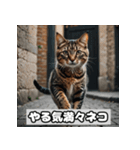 いろんな表情のネコ_001（個別スタンプ：1）