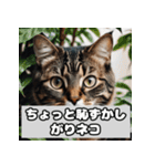 いろんな表情のネコ_001（個別スタンプ：2）