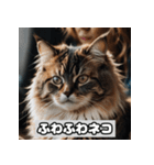 いろんな表情のネコ_001（個別スタンプ：5）