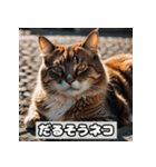 いろんな表情のネコ_001（個別スタンプ：7）