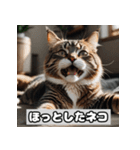 いろんな表情のネコ_001（個別スタンプ：8）