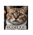 いろんな表情のネコ_001（個別スタンプ：10）