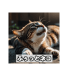 いろんな表情のネコ_001（個別スタンプ：11）