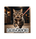 いろんな表情のネコ_001（個別スタンプ：13）
