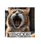 いろんな表情のネコ_001（個別スタンプ：14）