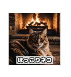 いろんな表情のネコ_001（個別スタンプ：16）