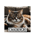 いろんな表情のネコ_001（個別スタンプ：19）