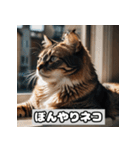いろんな表情のネコ_001（個別スタンプ：21）