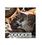 いろんな表情のネコ_001（個別スタンプ：28）