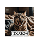 いろんな表情のネコ_001（個別スタンプ：31）