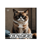いろんな表情のネコ_001（個別スタンプ：32）