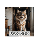 いろんな表情のネコ_001（個別スタンプ：35）