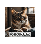 いろんな表情のネコ_001（個別スタンプ：38）