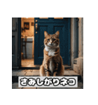いろんな表情のネコ_001（個別スタンプ：39）