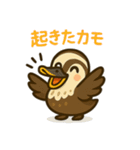 いいコトあるカモ♡日常編（個別スタンプ：12）