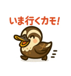 いいコトあるカモ♡日常編（個別スタンプ：22）