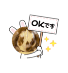 うさぎなんです。うさぎのフッくん（個別スタンプ：1）