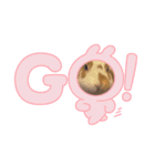 うさぎなんです。うさぎのフッくん（個別スタンプ：4）