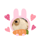 うさぎなんです。うさぎのフッくん（個別スタンプ：5）