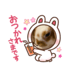 うさぎなんです。うさぎのフッくん（個別スタンプ：6）