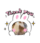 うさぎなんです。うさぎのフッくん（個別スタンプ：7）