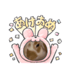 うさぎなんです。うさぎのフッくん（個別スタンプ：8）