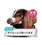 カグラくんスタンプ11（個別スタンプ：5）