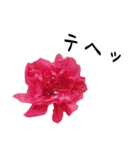ツバキ時々モモ（個別スタンプ：5）