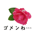 ツバキ時々モモ（個別スタンプ：13）