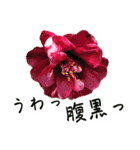 ツバキ時々モモ（個別スタンプ：17）