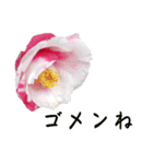 ツバキ時々モモ（個別スタンプ：22）