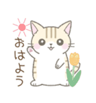 毎日使える挨拶☆トラ猫（個別スタンプ：1）