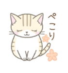 毎日使える挨拶☆トラ猫（個別スタンプ：3）