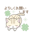 毎日使える挨拶☆トラ猫（個別スタンプ：4）