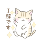 毎日使える挨拶☆トラ猫（個別スタンプ：5）