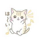 毎日使える挨拶☆トラ猫（個別スタンプ：6）