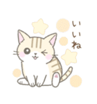 毎日使える挨拶☆トラ猫（個別スタンプ：7）