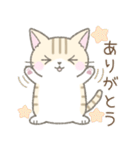 毎日使える挨拶☆トラ猫（個別スタンプ：13）