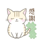 毎日使える挨拶☆トラ猫（個別スタンプ：14）